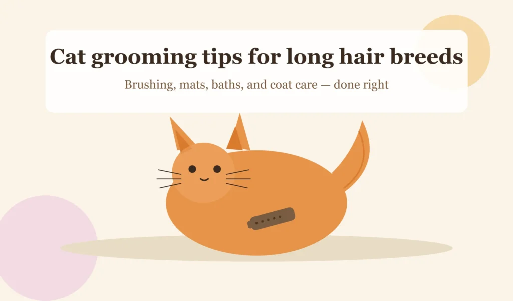 Cat Grooming Tips for Long Hair Breeds: A Complete Owner's Guide