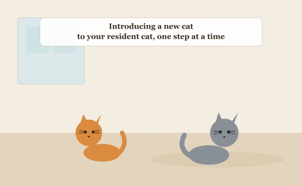 Introducing a New Cat to Your Resident Cat: A Step-by-Step Guide to Peaceful Introductions