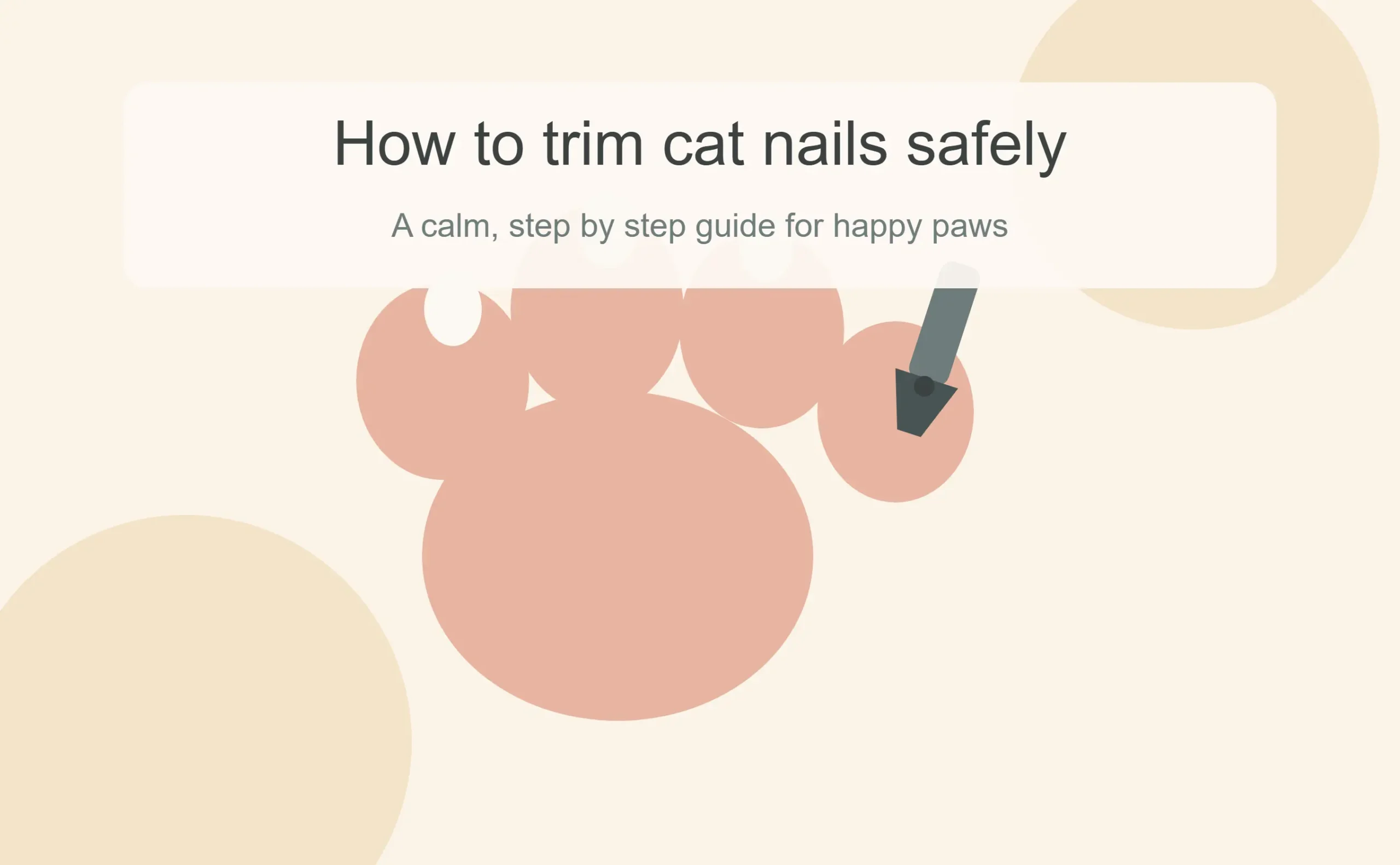 How to Trim Cat Nails Safely: A Step-by-Step Guide