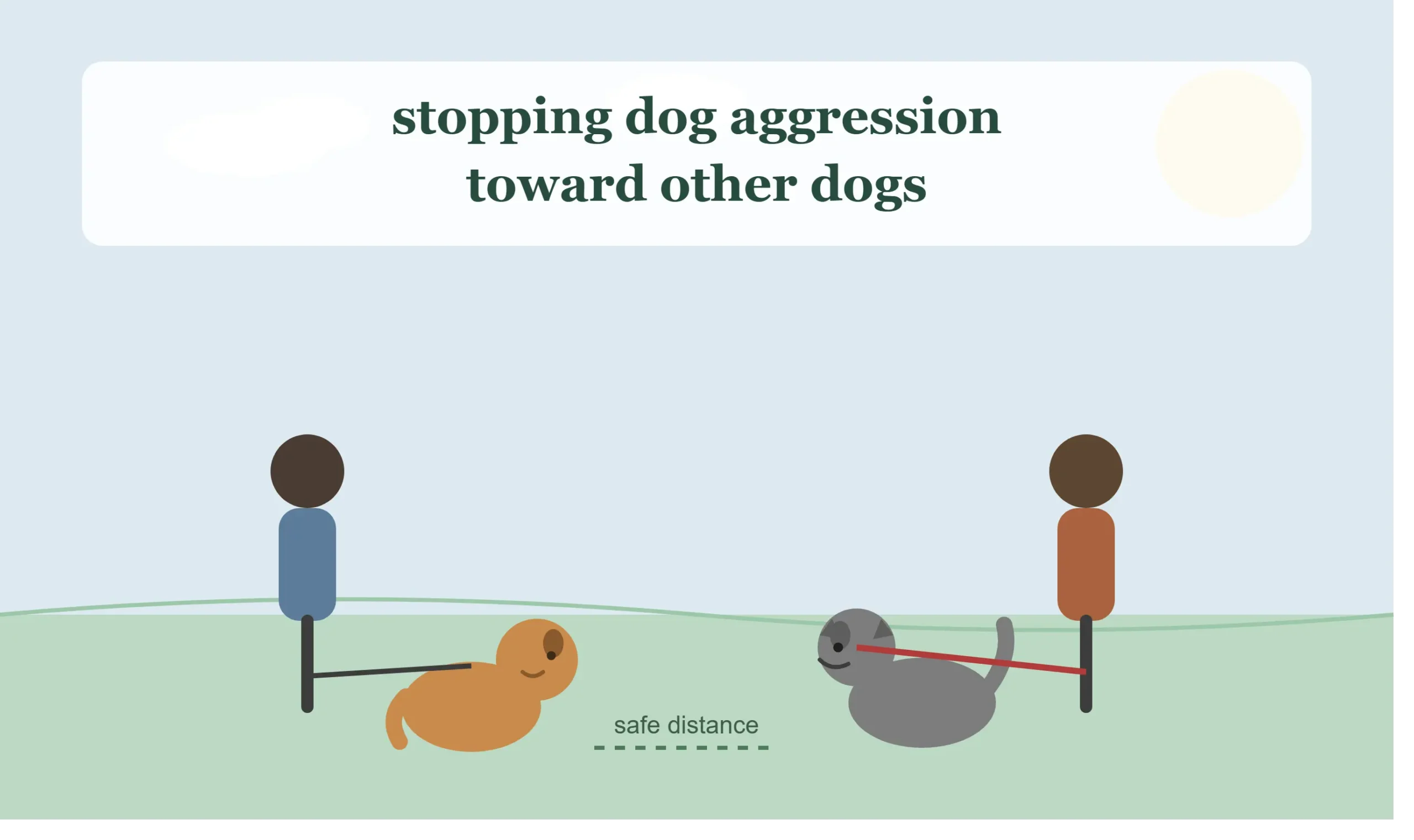 How to Stop Dog Aggression Towards Other Dogs: A Practical Owner's Guide