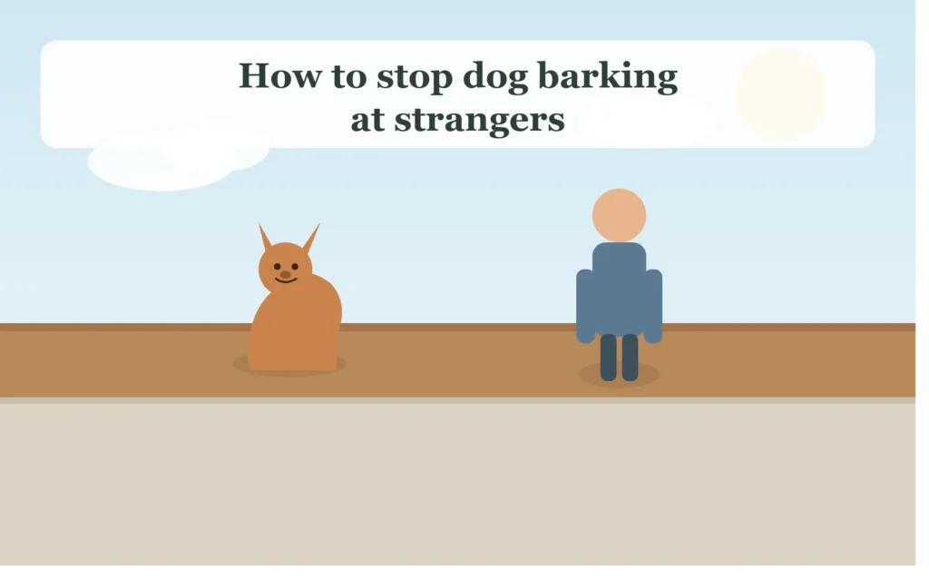 How to Stop Dog Barking at Strangers: A Complete Guide