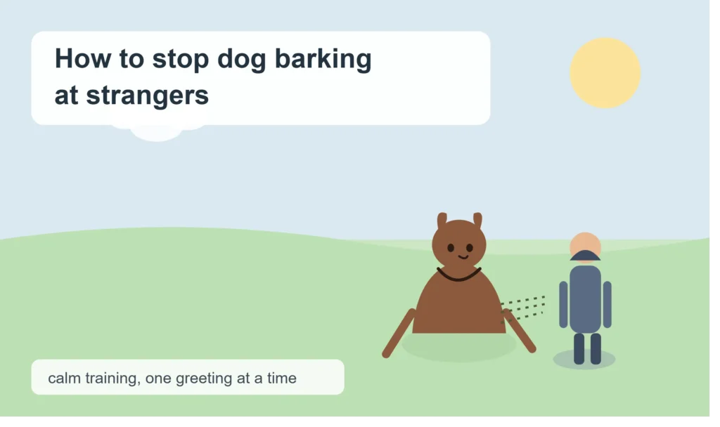 Why Does Your Dog Bark at Strangers in the First Place?