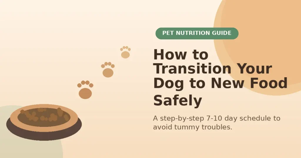 How to Transition Your Dog to New Food: A Step-by-Step Guide