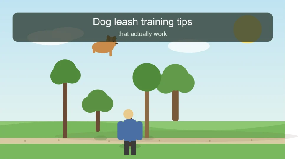 Dog Leash Training Tips That Actually Work (Even for Stubborn Pullers)