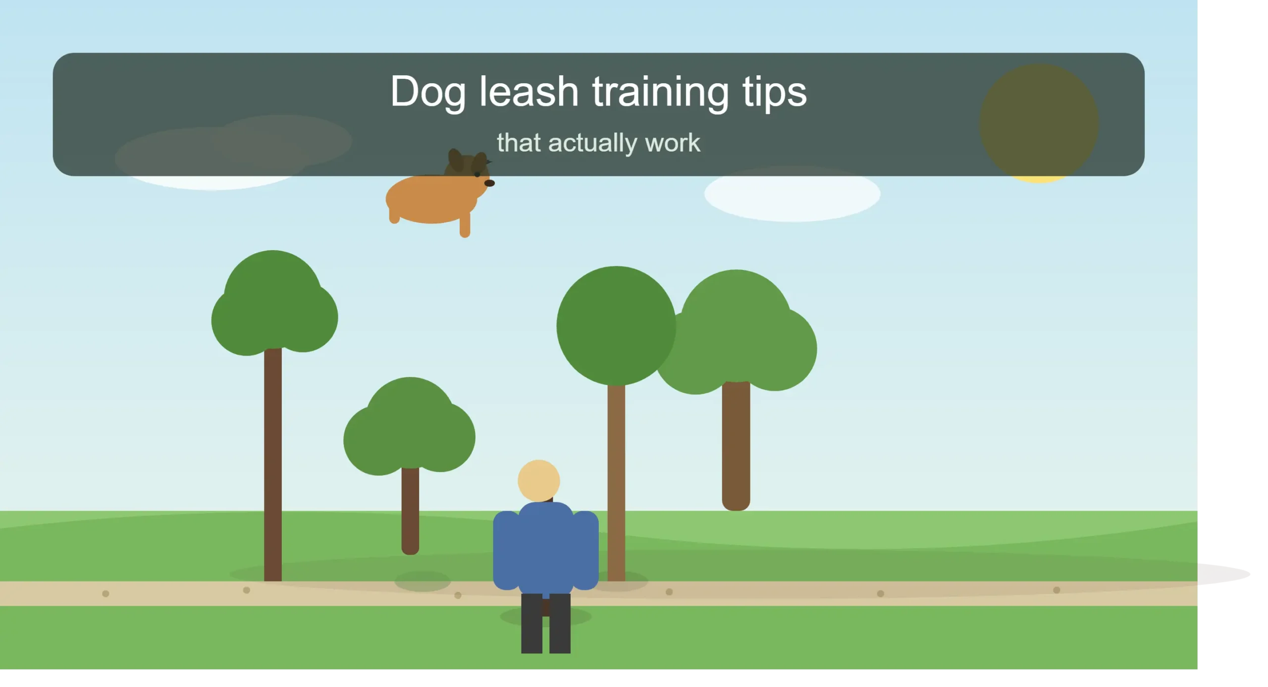 Dog Leash Training Tips That Actually Work (Even for Stubborn Pullers)