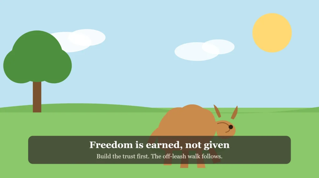 Teaching a Dog to Walk Off Leash: The Complete Guide