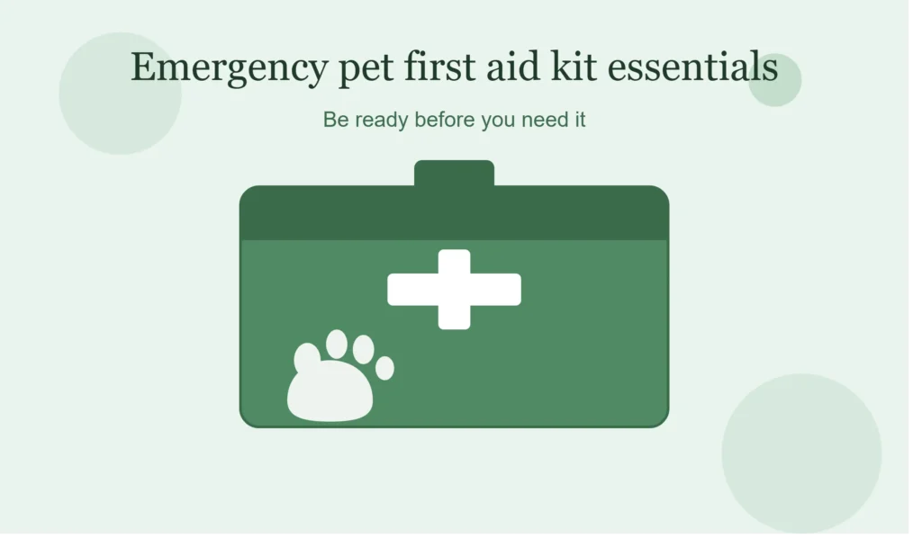 Emergency pet first aid kit
