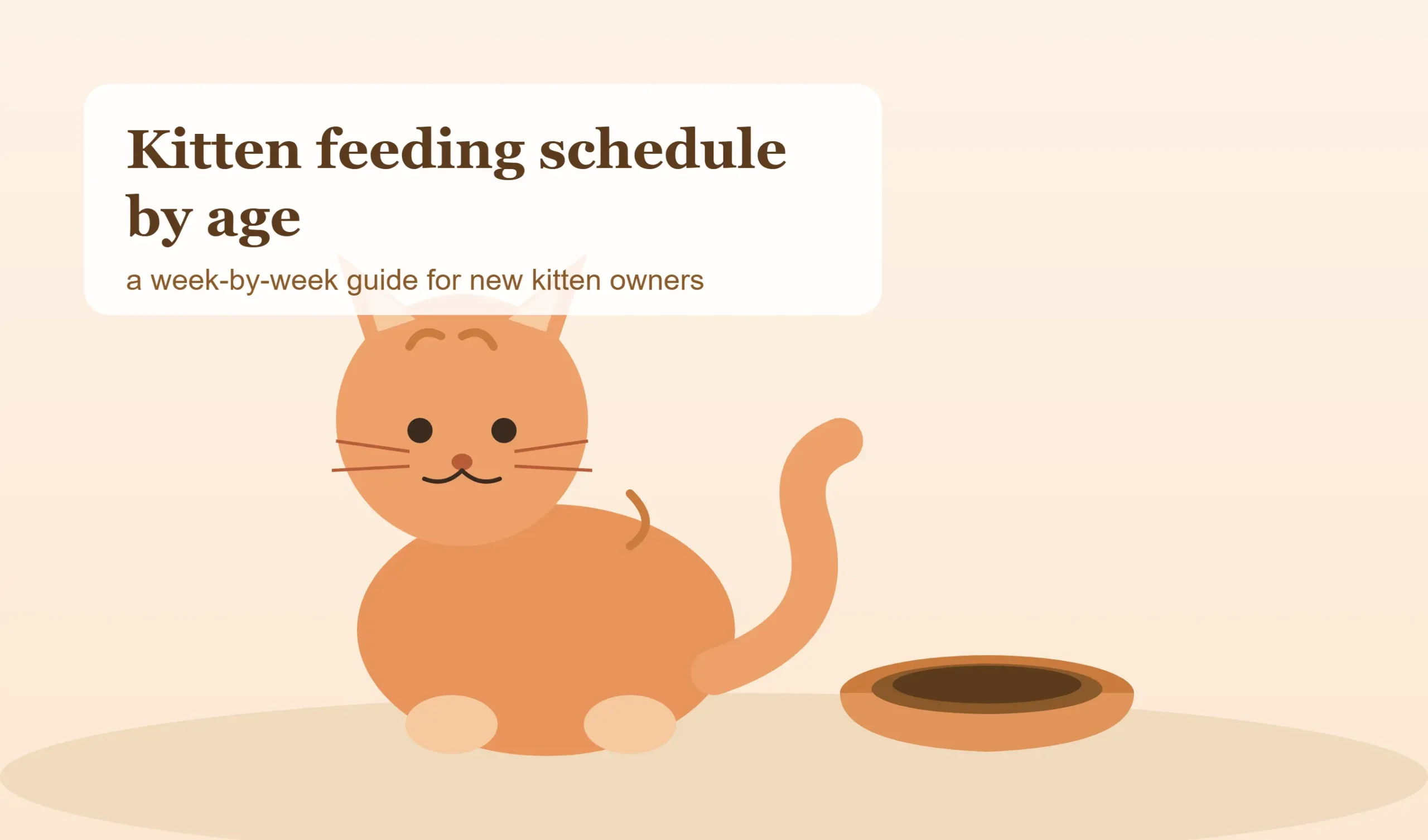 Kitten Feeding Schedule by Age: A Complete Vet-Informed Guide