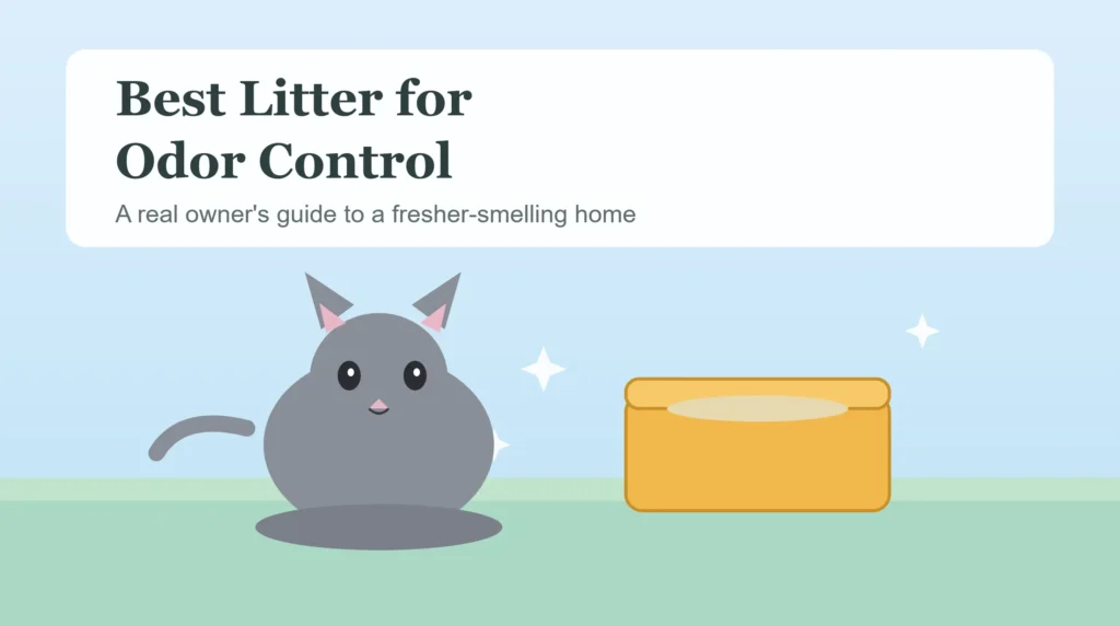 Best Litter for Odor Control: What Actually Works (And Why)