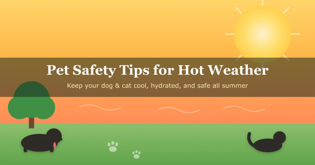 Pet Safety Tips for Hot Weather: What Every Owner Needs to Know