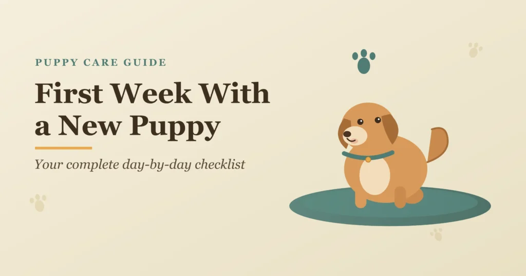 Your First Week With a New Puppy Checklist: What Every New Owner Needs to Know