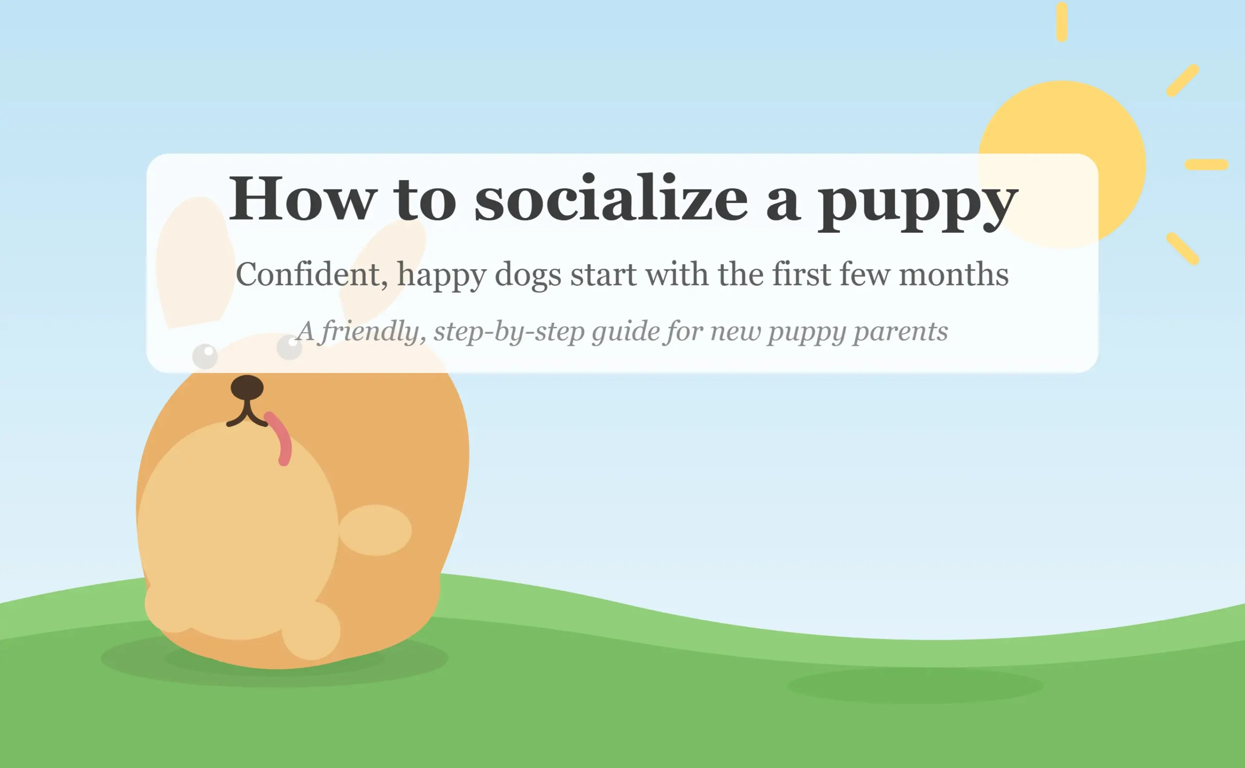 How to Socialize a Puppy: A Complete Step-by-Step Guide