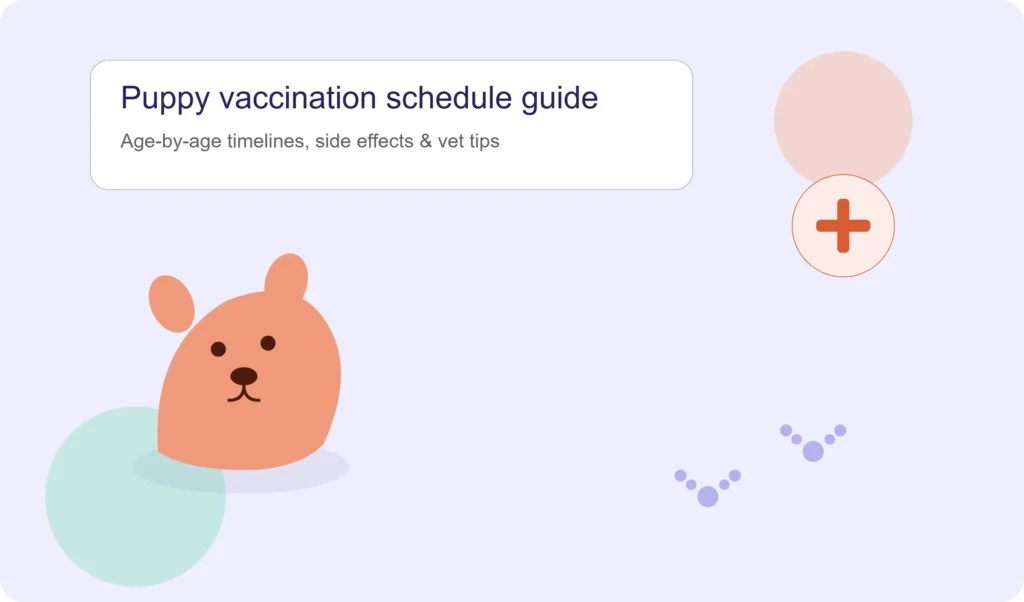 Bringing Home a Puppy? Here's What Your Vet Won't Always Have Time to Explain