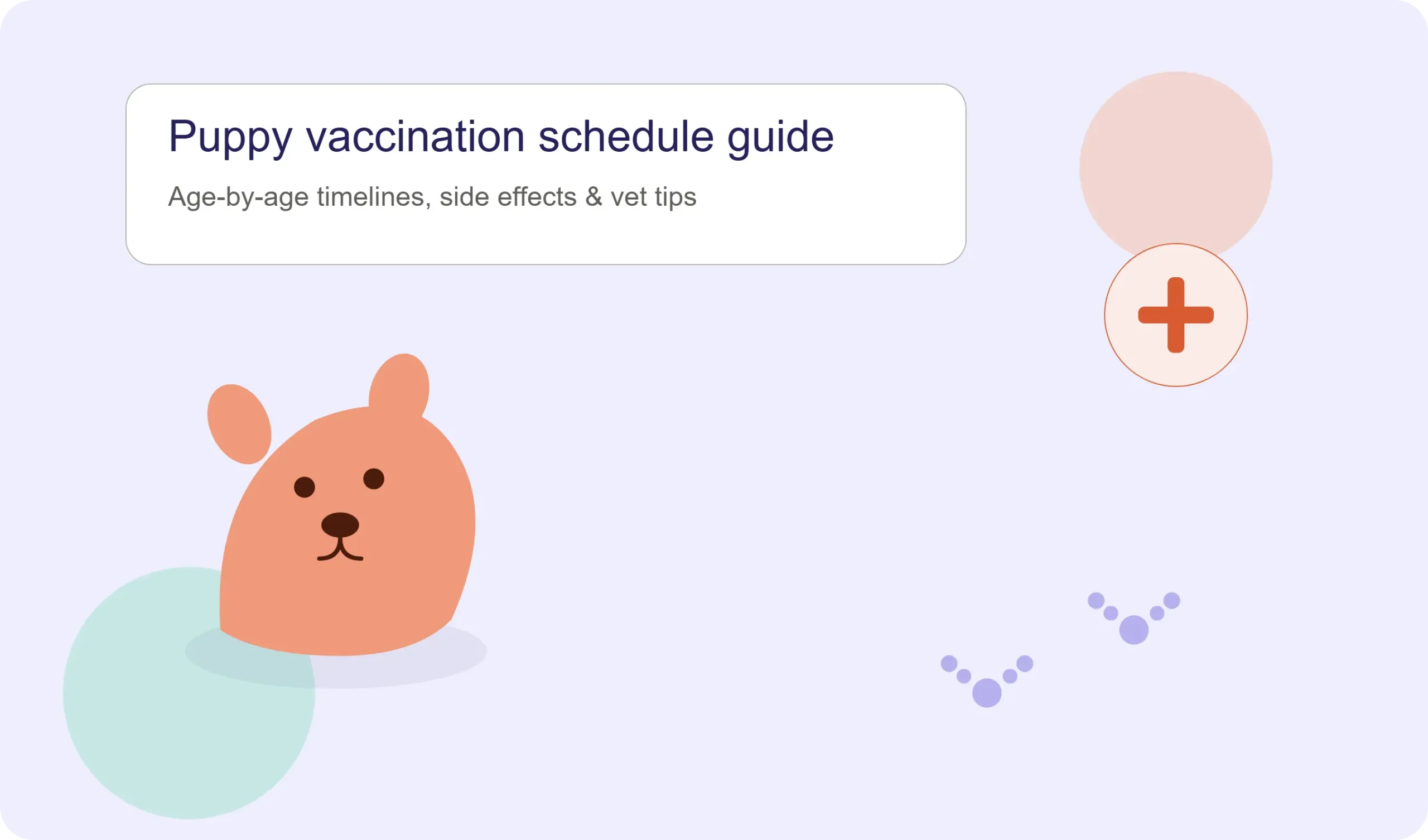 Bringing Home a Puppy? Here's What Your Vet Won't Always Have Time to Explain