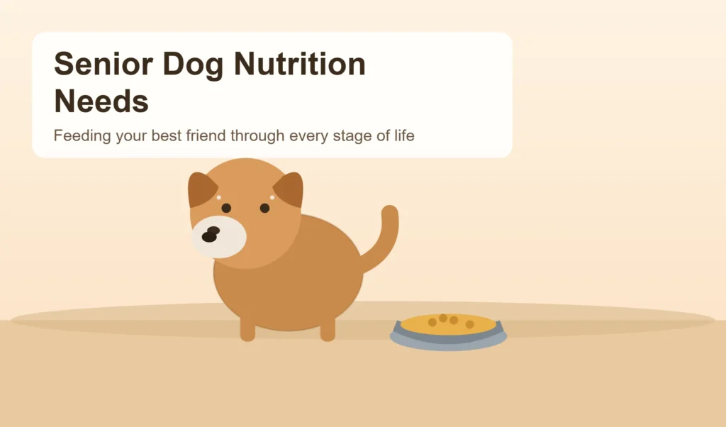 Senior Dog Nutrition Needs: What Every Aging Dog Owner Should Know
