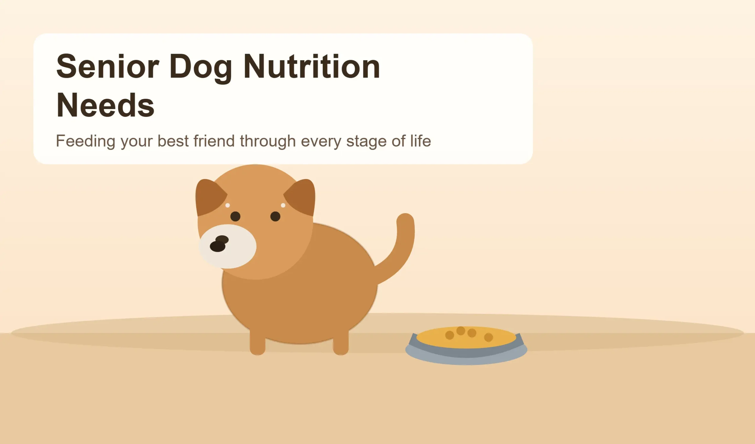 Senior Dog Nutrition Needs: What Every Aging Dog Owner Should Know