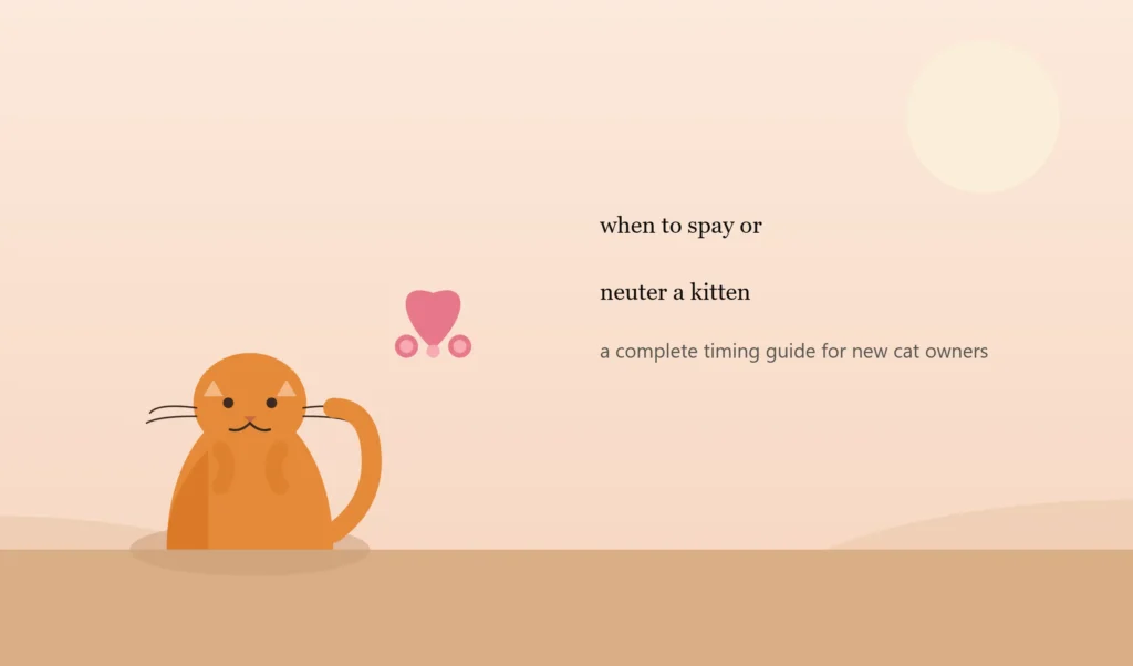 When to Spay or Neuter a Kitten: A Complete Timing Guide for New Cat Owners