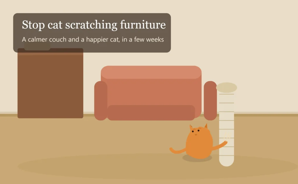 How to Stop Cat Scratching Furniture: A Practical, Vet-Informed Guide