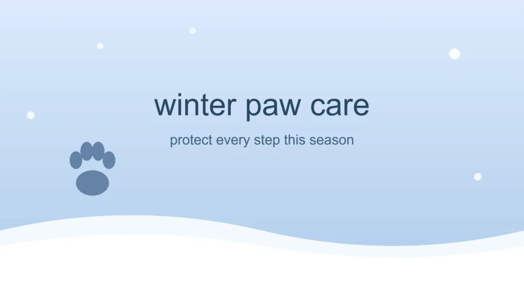 Winter Paw Care for Dogs: What Every Owner Needs to Know